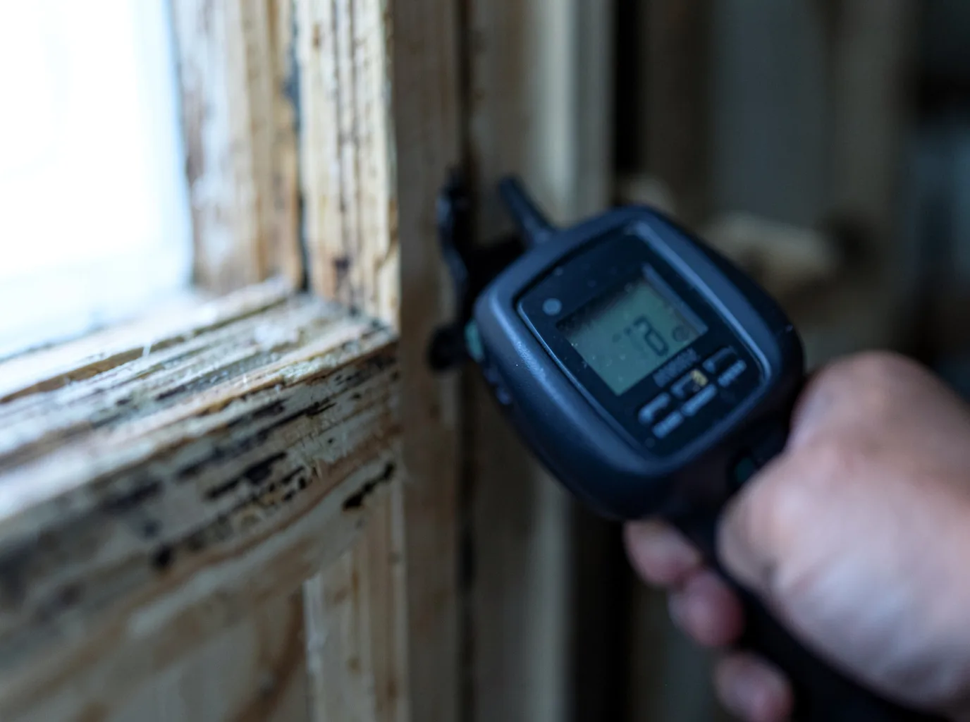 Moisture Inspection And Documentation in Portsmouth, IA